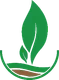 Bumi Mulia Seed